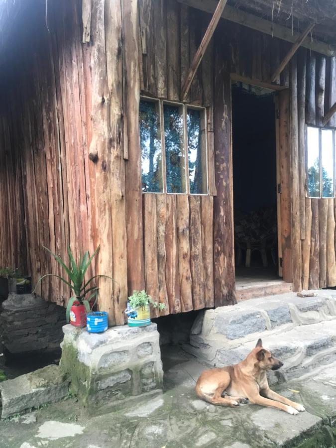 Kalitusi Nature Resort Fort Portal Екстериор снимка