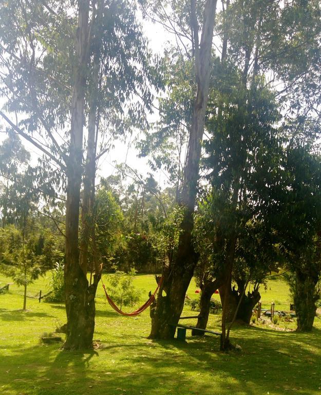 Kalitusi Nature Resort Fort Portal Екстериор снимка