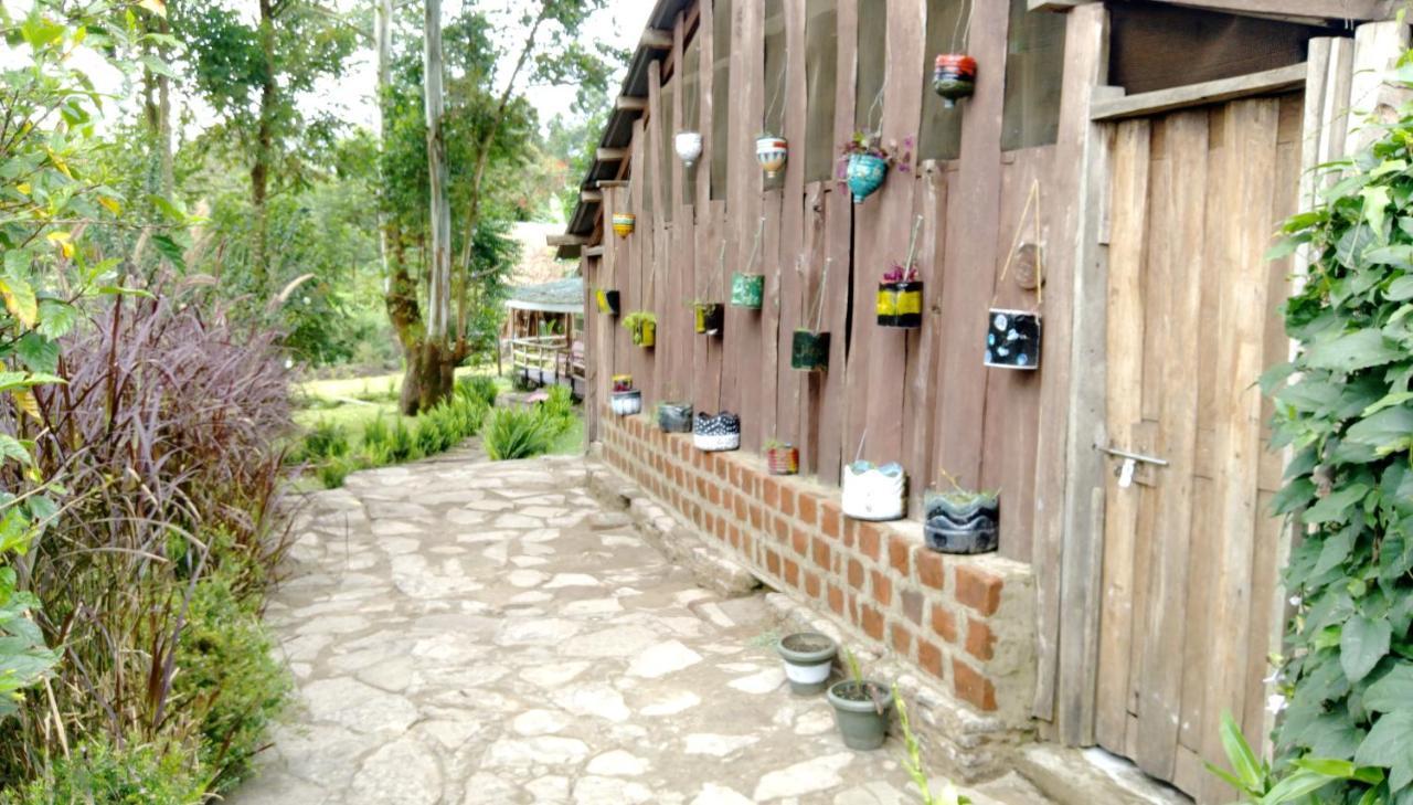 Kalitusi Nature Resort Fort Portal Екстериор снимка